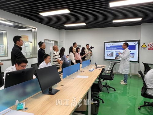 從“一”到“百” 內江以技術咨詢為雨露，讓創新種子長成產業森林